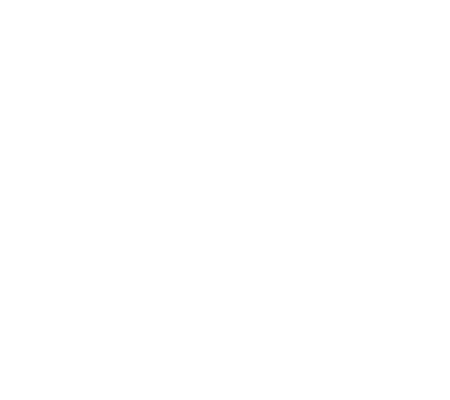 Business branding services - logo design for bloom neuro